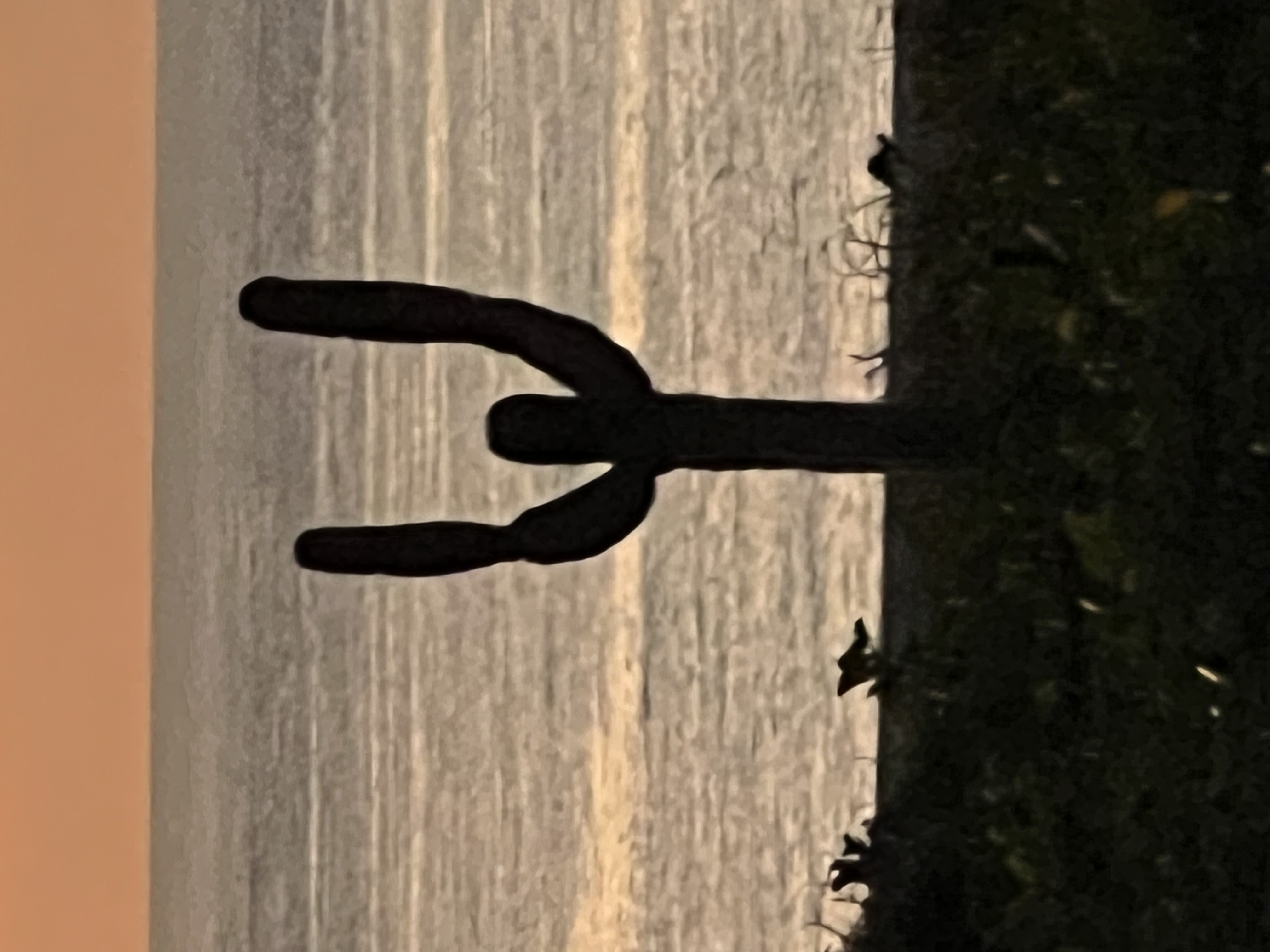 ./2024/13 - Cabo/IMG_4914.jpg